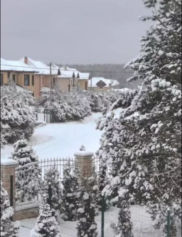 Коттедж в Московская область, Раменский муниципальный округ, 10365 ... - Фото 1