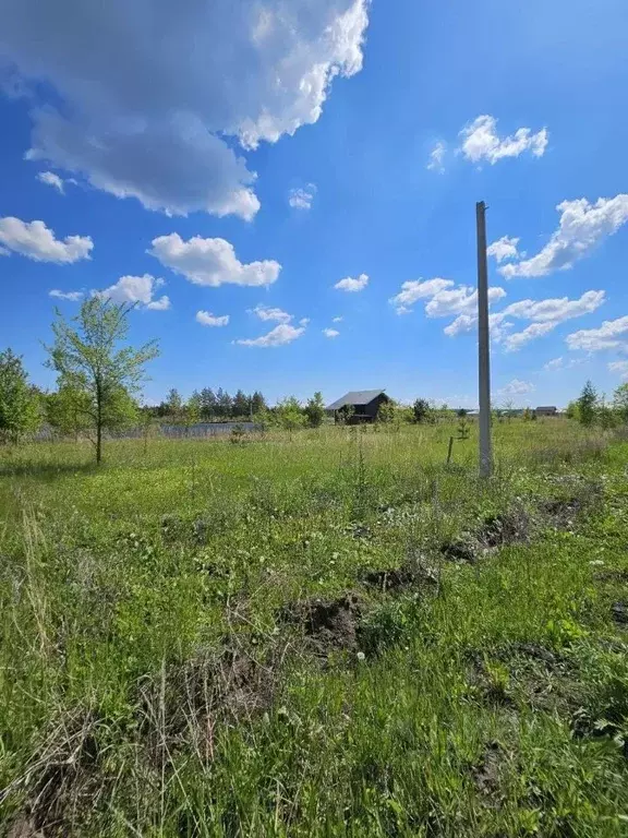 Участок в Ульяновская область, Ульяновский район, Ишеевское городское ... - Фото 2
