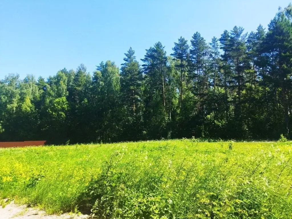 Участок в Тульская область, Ясногорский район, Иваньковское с/пос, ... - Фото 2