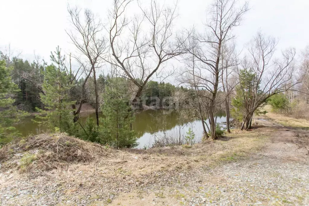 Участок в Тюменская область, Тобольский муниципальный округ, ... - Фото 1