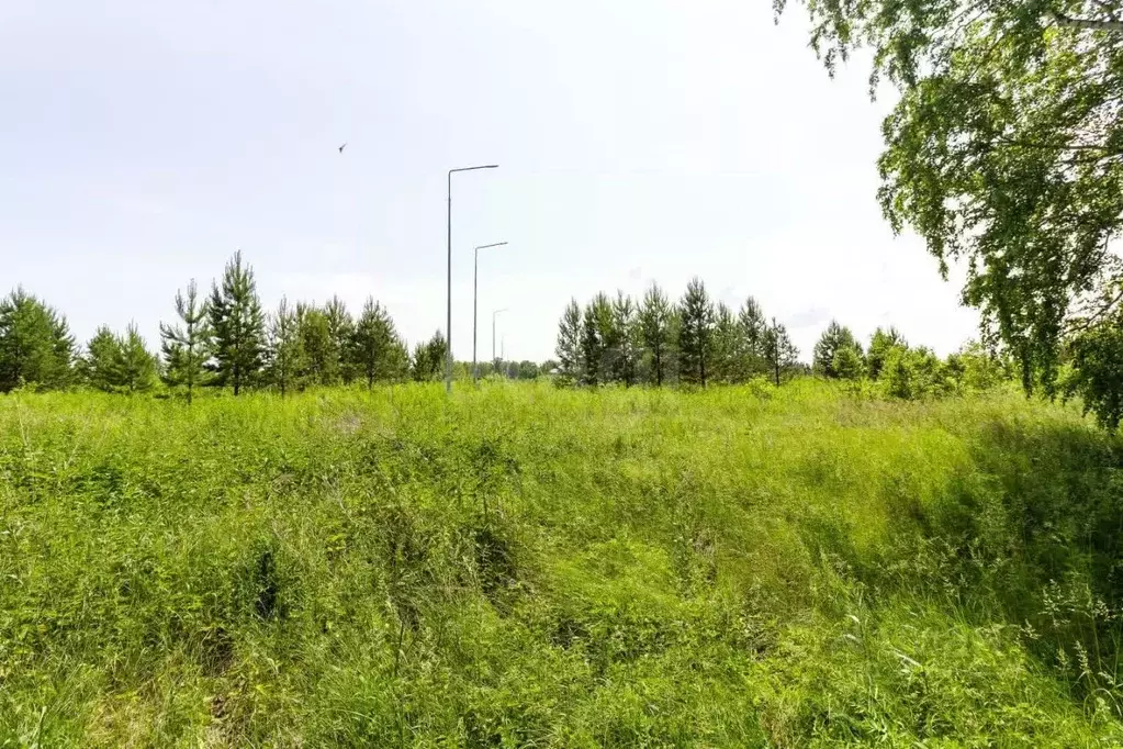 Участок в Тюменская область, Тюменский муниципальный округ, ... - Фото 0