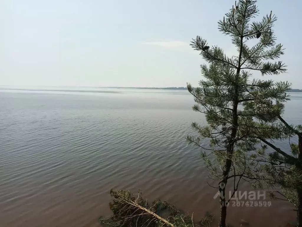 Участок в Нижегородская область, Сокольский городской округ, ... - Фото 1