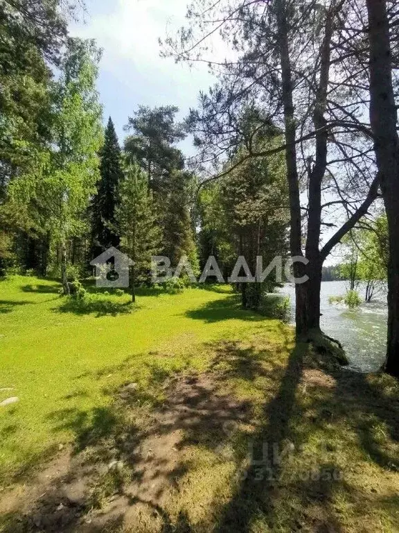 Участок в Алтай, Турочакский район, с. Кебезень  (900.0 сот.) - Фото 0