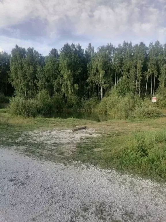 Участок в Владимирская область, Судогодский район, Головинское ... - Фото 1