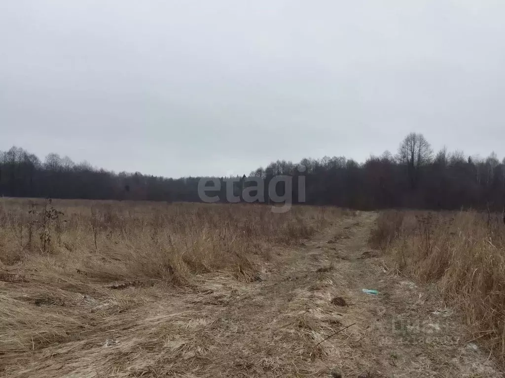 Участок в Брянская область, Брянский район, Новодарковичское с/пос, д. ... - Фото 1