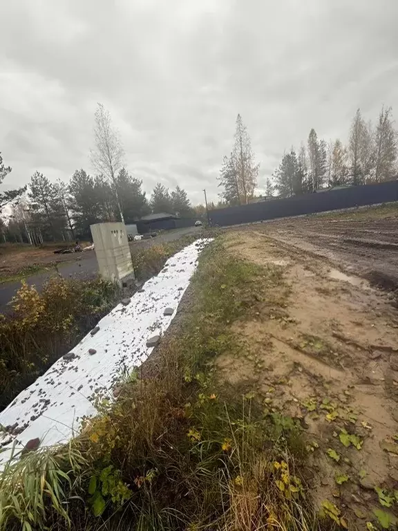 Участок в Ленинградская область, Всеволожский район, Бугровское ... - Фото 2