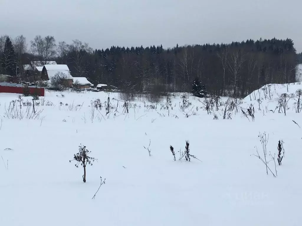 Участок в Московская область, Пушкинский городской округ, Царевское ... - Фото 1