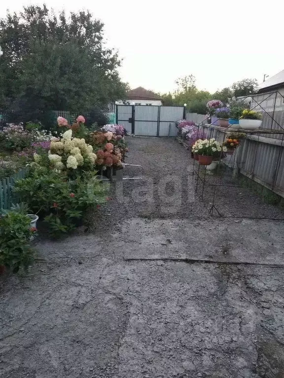 Дом в Белгородская область, Ивнянский район, с. Верхопенье ул. ... - Фото 1