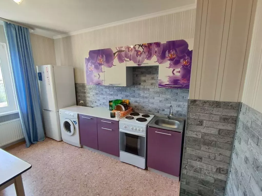 1-к кв. Краснодарский край, Краснодар Пашковский жилмассив, ул. ... - Фото 1