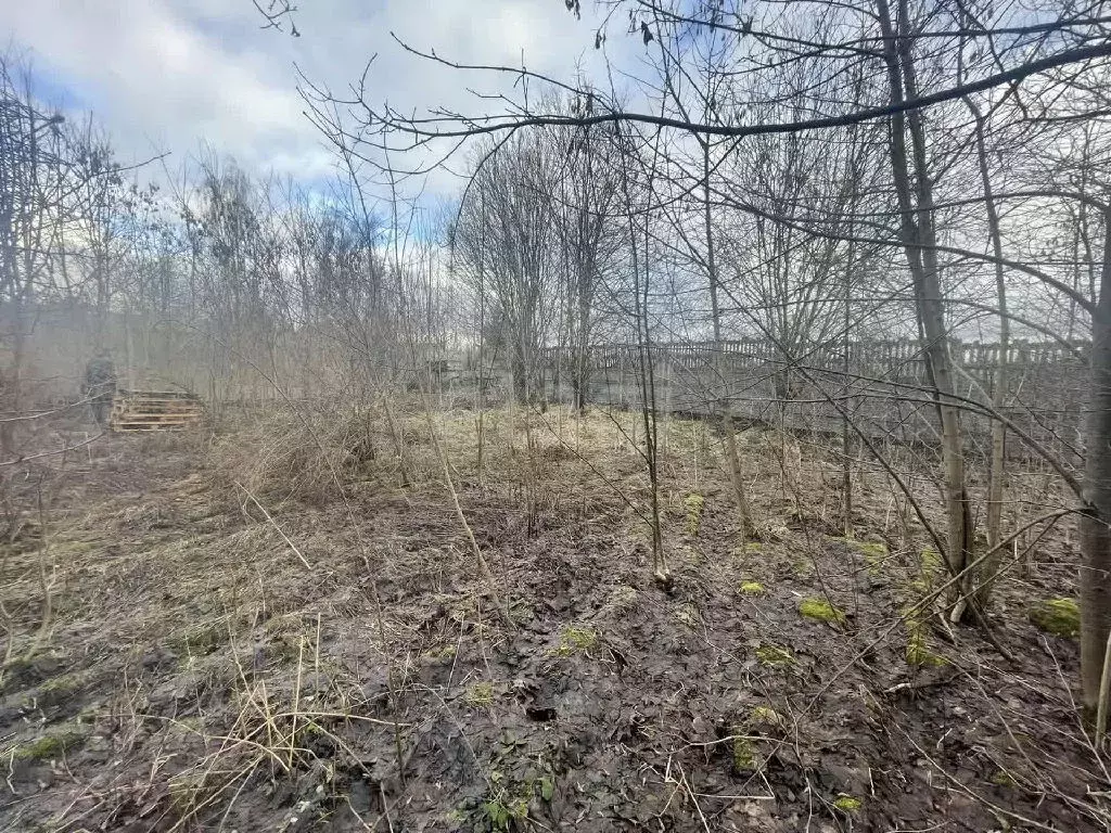 Продается участок в д. Солослово - Фото 1