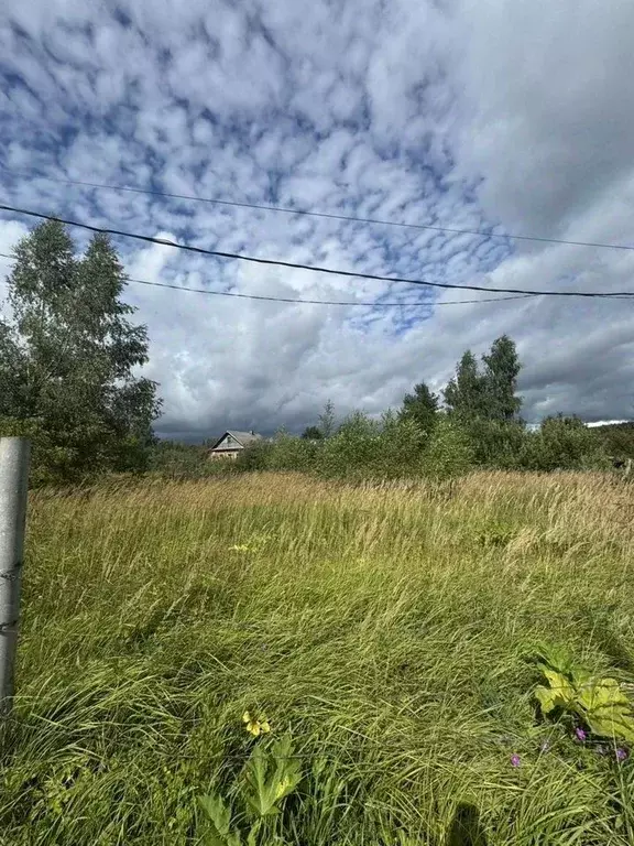 Участок в Московская область, Дмитровский муниципальный округ, д. ... - Фото 1