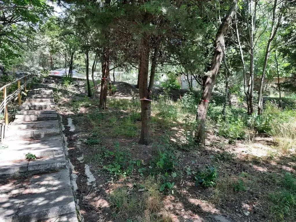 Участок в Крым, Ялта муниципальный округ, Краснокаменка пгт ул. ... - Фото 1