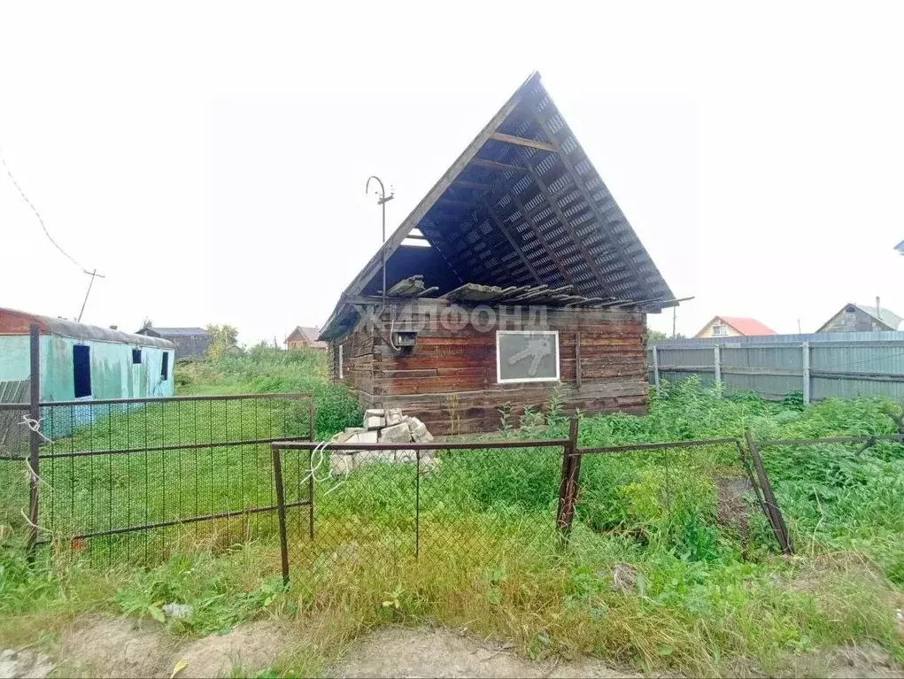 Участок в Новосибирская область, Новосибирск Золотая осень садовое ... - Фото 0