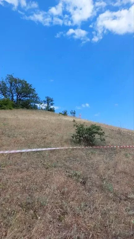 Участок в Крым, Алушта муниципальный округ, с. Приветное ул. Фросинлер ... - Фото 1