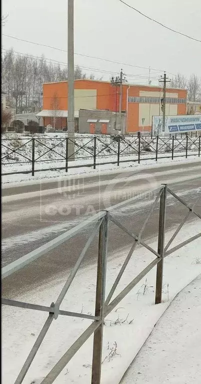 Участок в Воронежская область, Новоусманский район, с. Бабяково ... - Фото 1