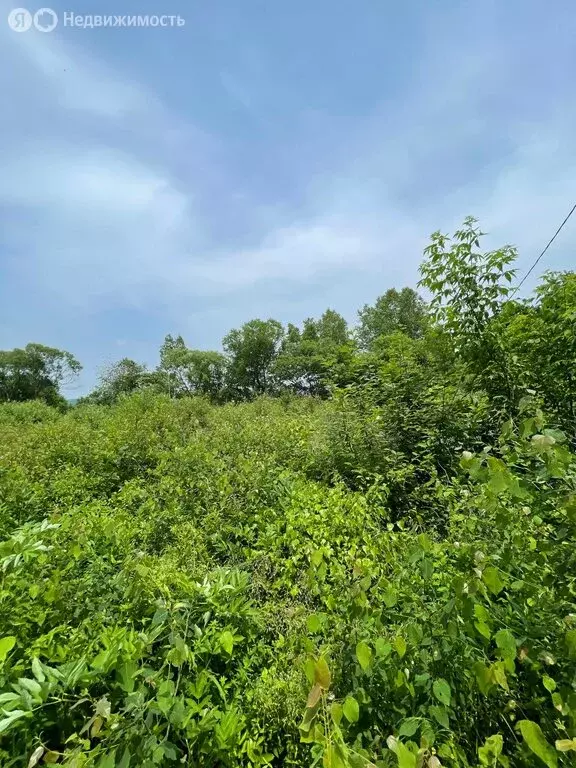 Участок в Уссурийский городской округ, село Глуховка, Зелёная улица, ... - Фото 0