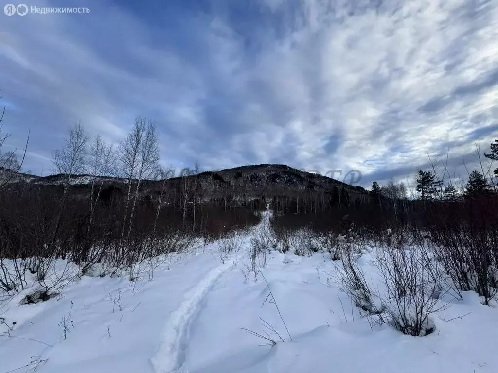 Участок в Манжерокское сельское поселение, село Озёрное (9.9 м) - Фото 1