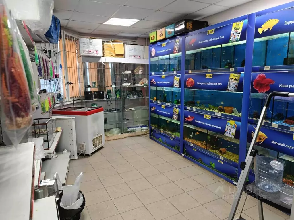 Помещение свободного назначения в Московская область, Химки Совхозная ... - Фото 1