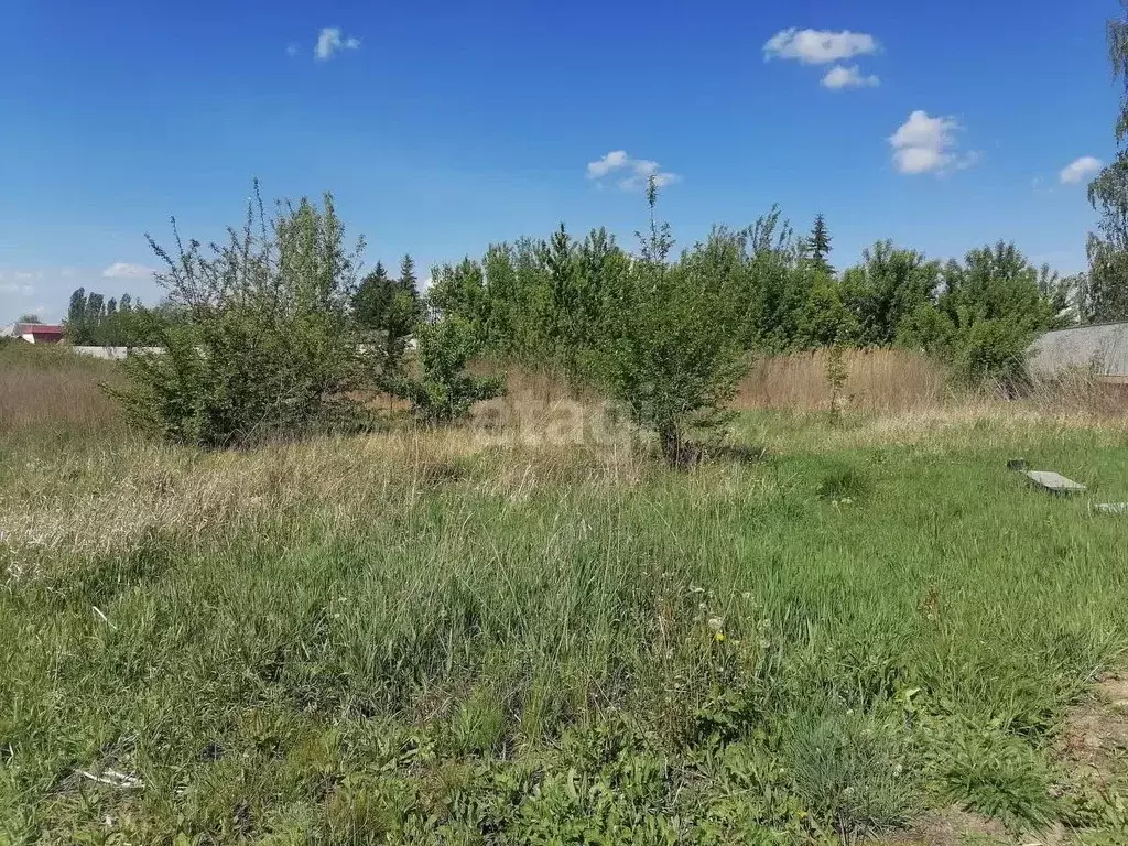 Участок в Воронежская область, с. Новая Усмань пер. Первомайский, 2 ... - Фото 1