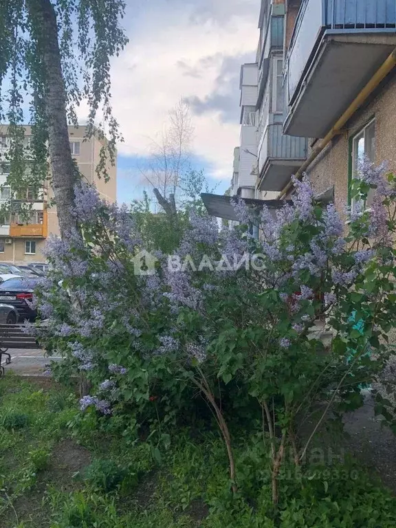 1-к кв. Воронежская область, Нововоронеж Набережная ул., 32 (28.8 м) - Фото 0