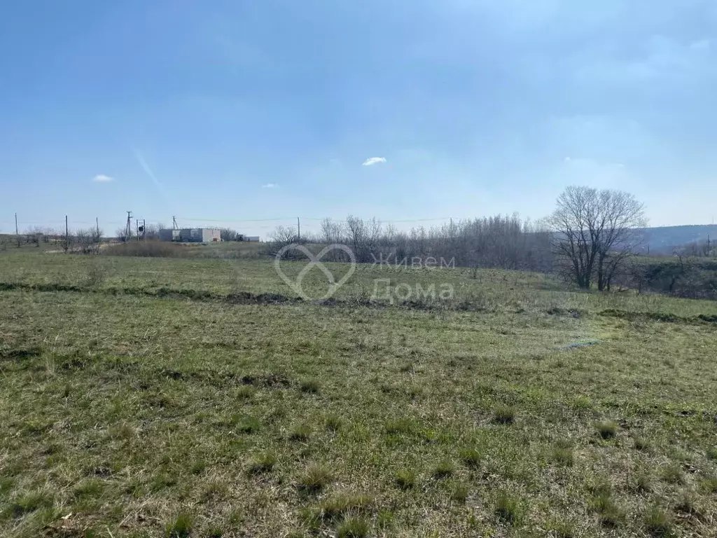 Участок в Волгоградская область, Городищенский район, Царицынское ... - Фото 1