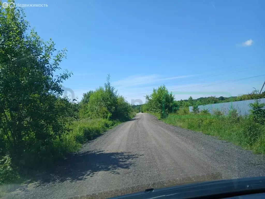 Участок в Калининградская область, Зеленоградский муниципальный округ, ... - Фото 1
