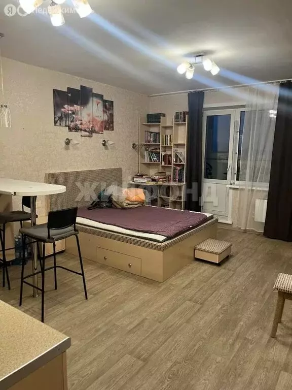 Квартира-студия: Новосибирск, улица Татьяны Снежиной, 31 (32.5 м) - Фото 2