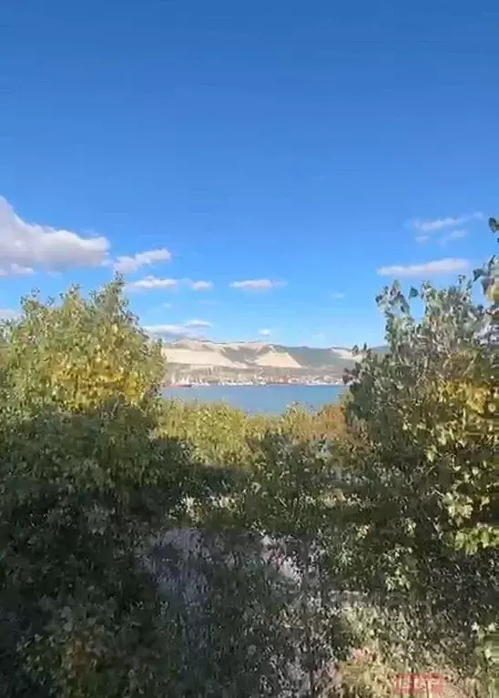 1-к кв. Краснодарский край, Новороссийск ул. Мира, 19 (28.7 м) - Фото 0