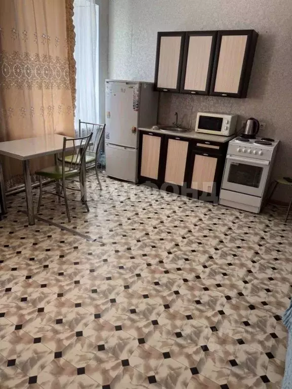Студия Новосибирская область, Маслянинский район, с. Мамоново ул. ... - Фото 0