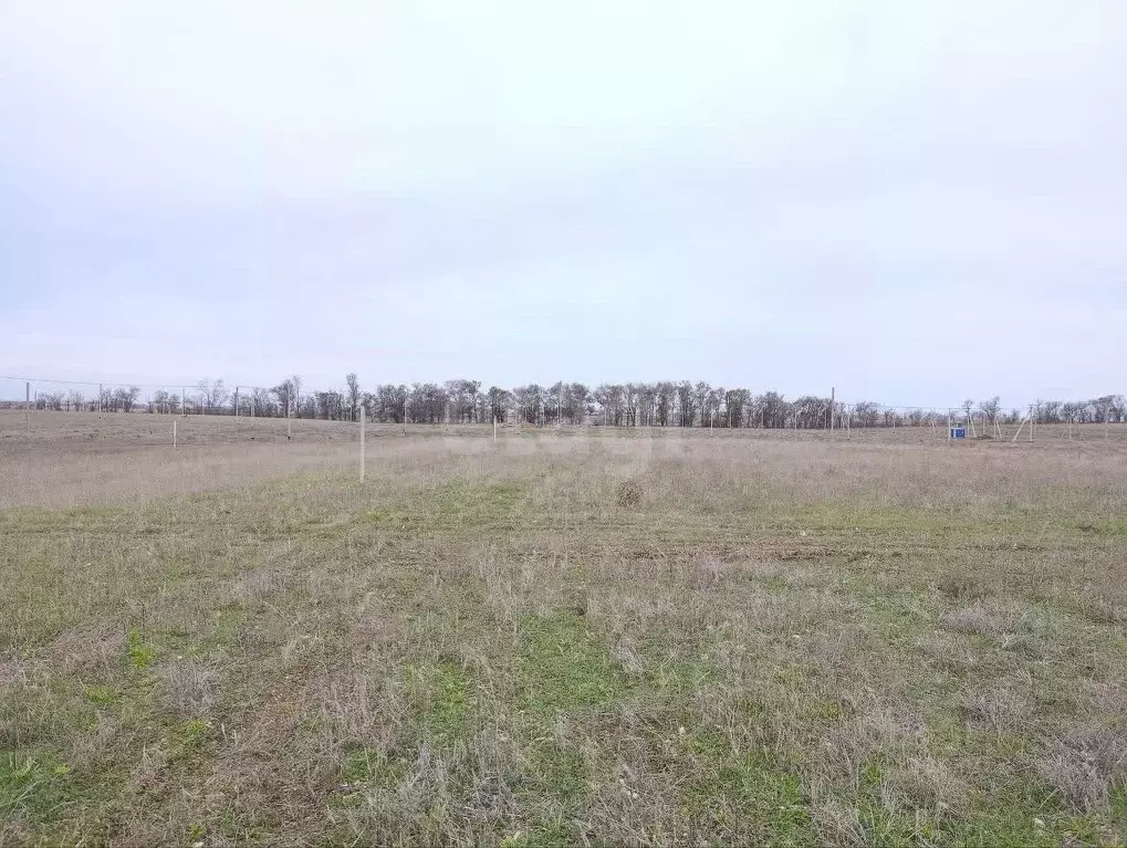 Участок в Крым, Симферопольский район, Николаевка пгт  (6.0 сот.) - Фото 1