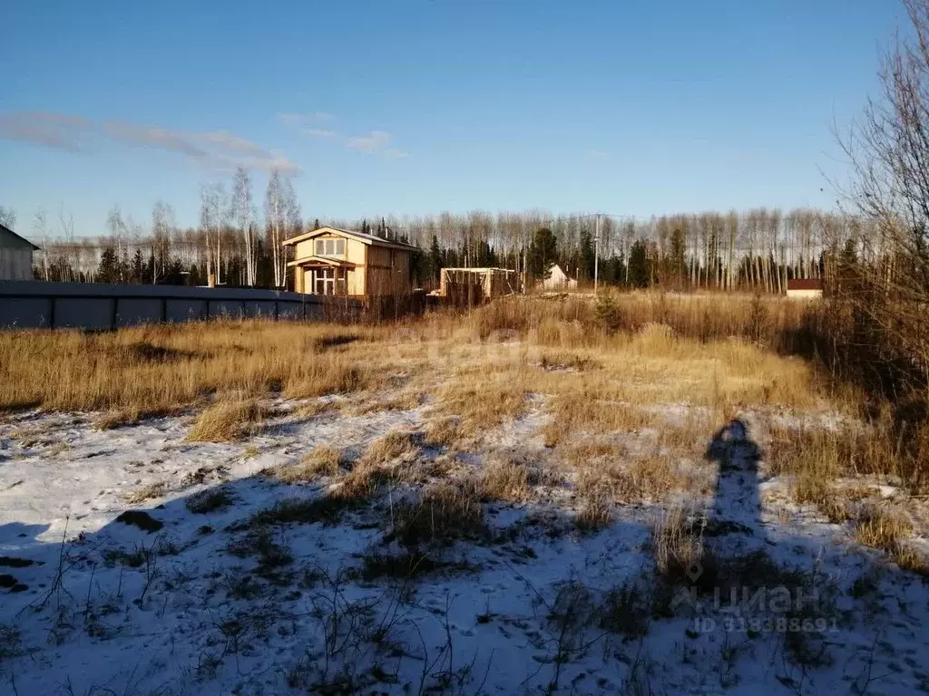 Участок в Ханты-Мансийский АО, Ханты-Мансийск Приозерный СОТ,  (10.0 ... - Фото 1