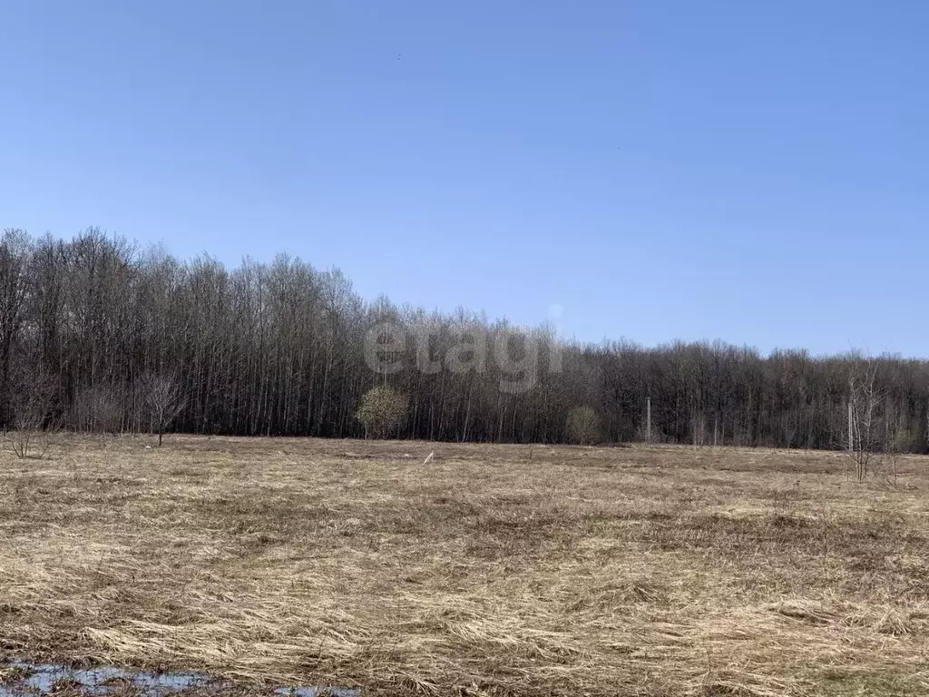 Участок в Мордовия, Кочкуровский район, с. Булгаково  (16.0 сот.) - Фото 1