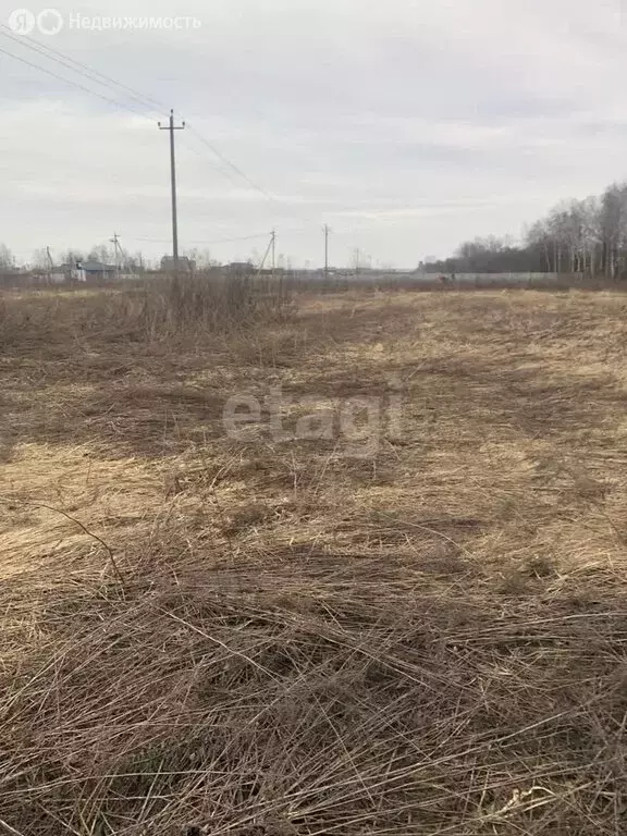 Участок в село Отрадное, микрорайон Земляничная Поляна (16 м) - Фото 1