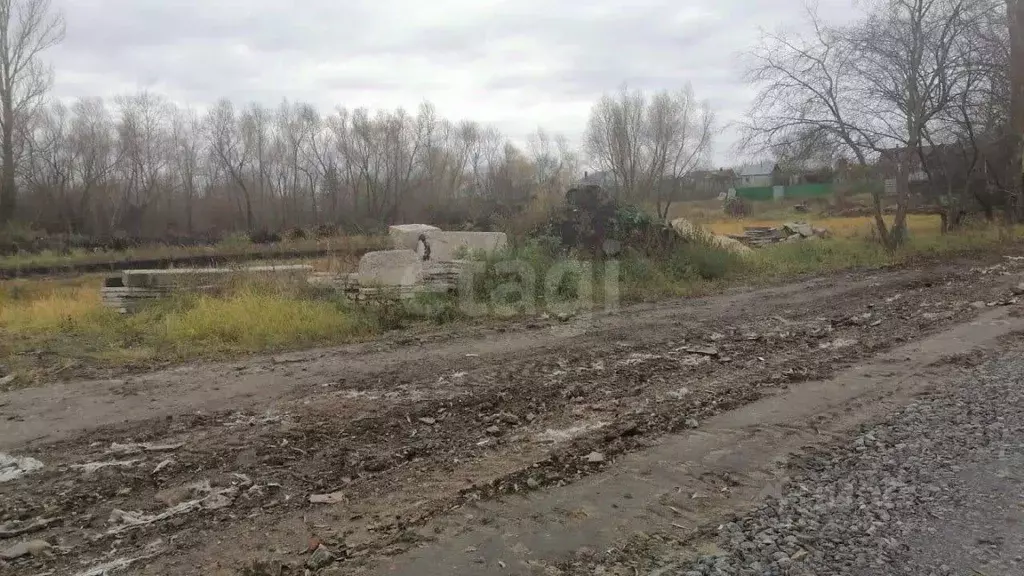 Участок в Воронежская область, с. Новая Усмань ул. Освобождения, 271 ... - Фото 1