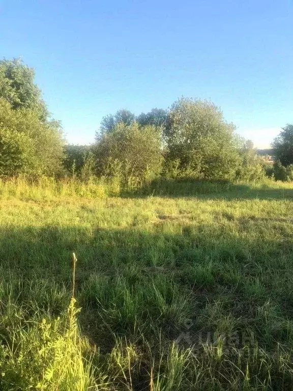 Участок в Нижегородская область, Богородский муниципальный округ, д. ... - Фото 0