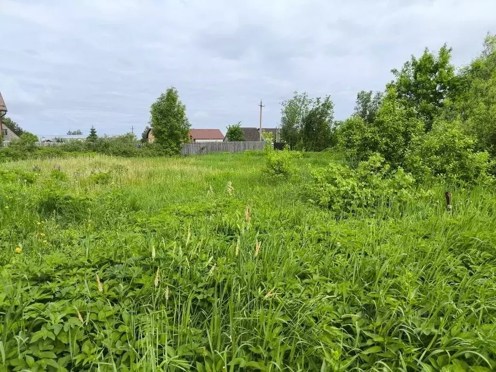 Участок в Московская область, Клин городской округ, д. Полушкино  ... - Фото 2