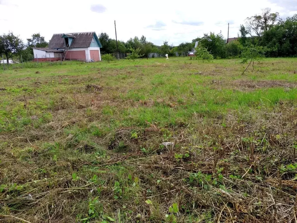 Участок в Тульская область, Веневский муниципальный округ, с. ... - Фото 0