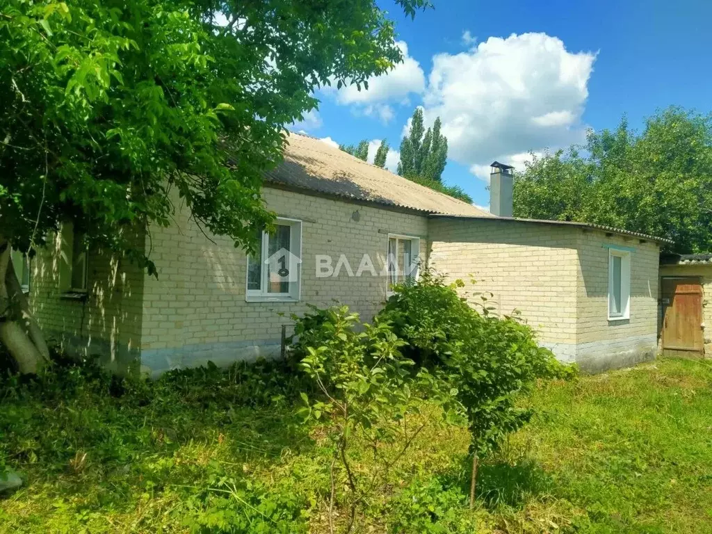 Дом в Воронежская область, Нижнедевицкий район, Синелипяговское с/пос, ... - Фото 1