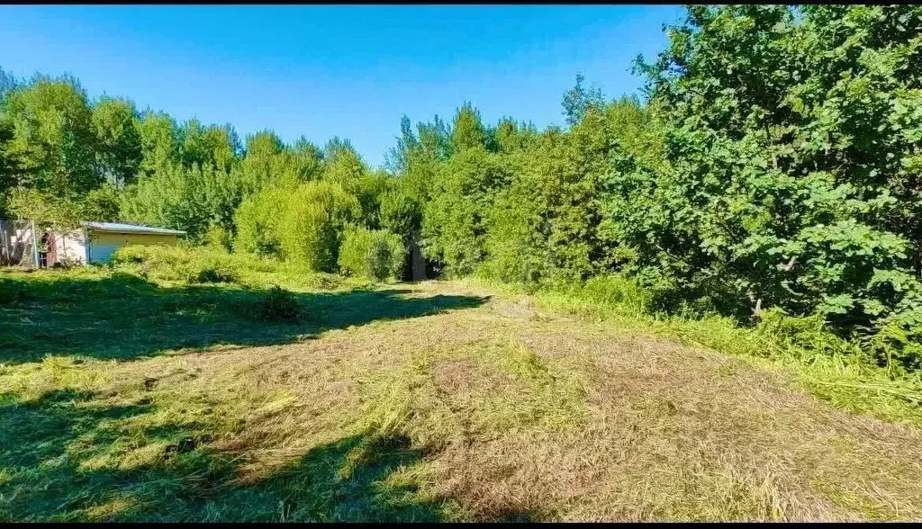Участок в Ярославская область, Переславль-Залесский муниципальный ... - Фото 2