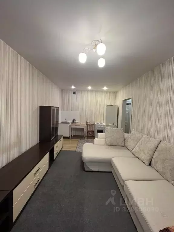 Студия Алтайский край, Барнаул ул. Малахова, 34А (24.0 м) - Фото 1