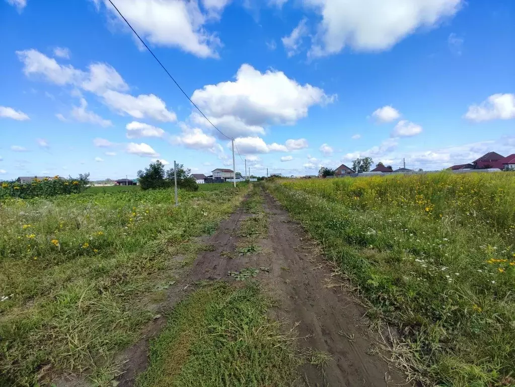 Участок в Брянская область, Брянский район, Добрунское с/пос, д. ... - Фото 2
