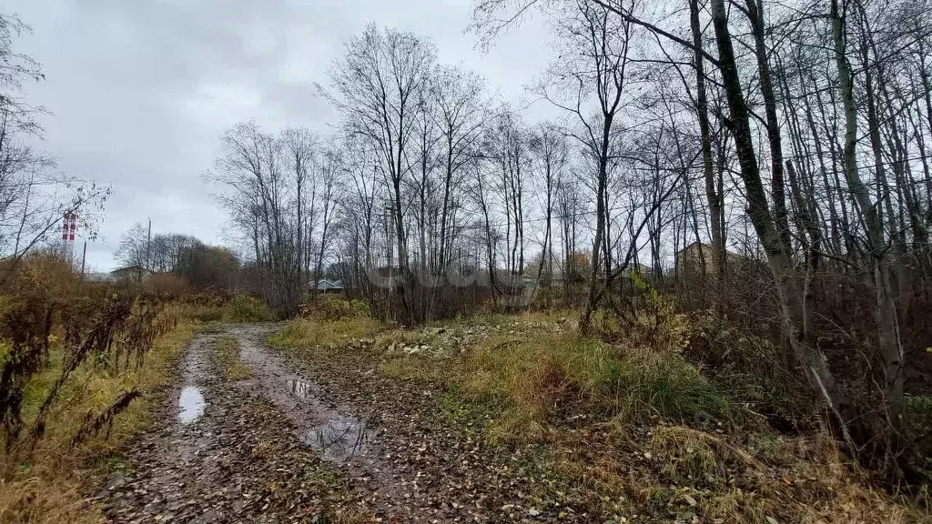 Участок в Тверская область, Тверь Ольховый пер. (10.7 сот.) - Фото 2