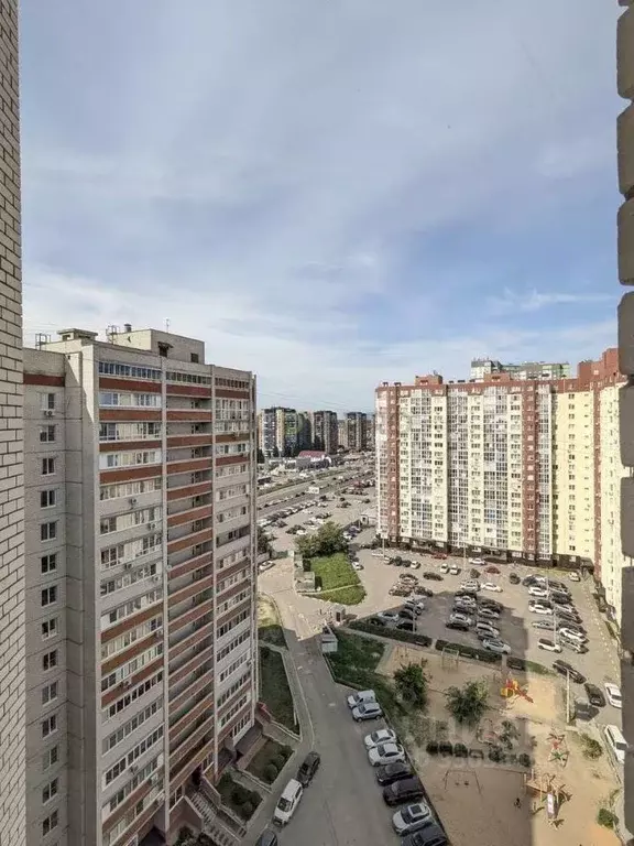 3-к кв. Воронежская область, Воронеж ул. Антонова-Овсеенко, 31 (82.0 ... - Фото 1