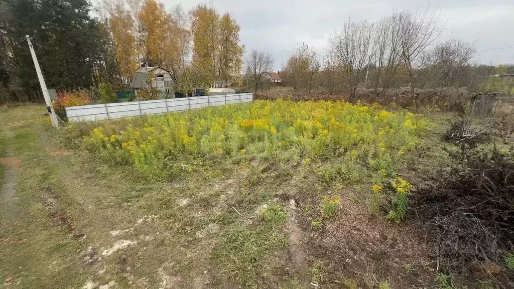 Участок в Брянская область, Брянский район, Снежское с/пос, пос. ... - Фото 2
