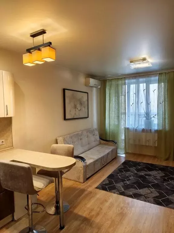 Студия Московская область, Люберцы городской округ, д. Мотяково 65к29 ... - Фото 1