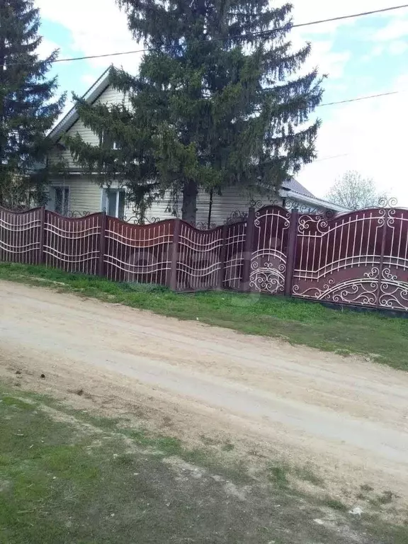 Дом в Оренбургская область, с. Пономаревка пер. Садовый, 28 (58 м) - Фото 2