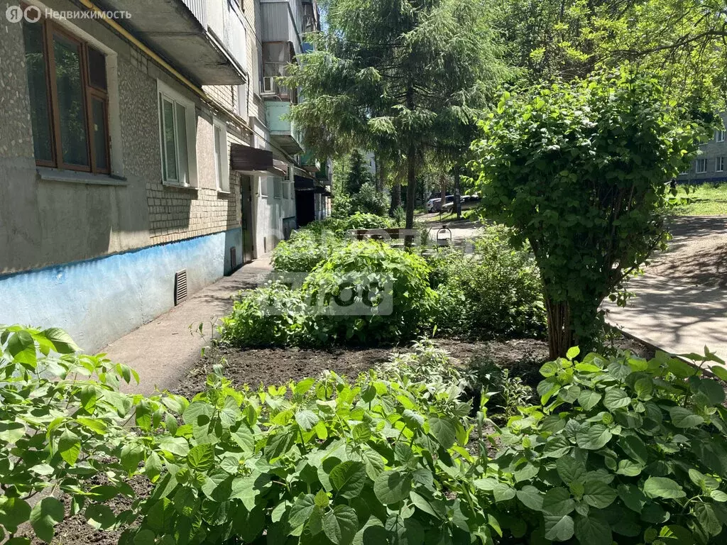 2-комнатная квартира: Пенза, Минская улица, 13 (48 м) - Фото 1