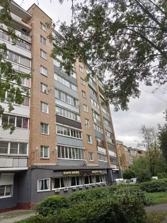 2-к кв. Московская область, Электроугли Богородский городской округ, ... - Фото 1