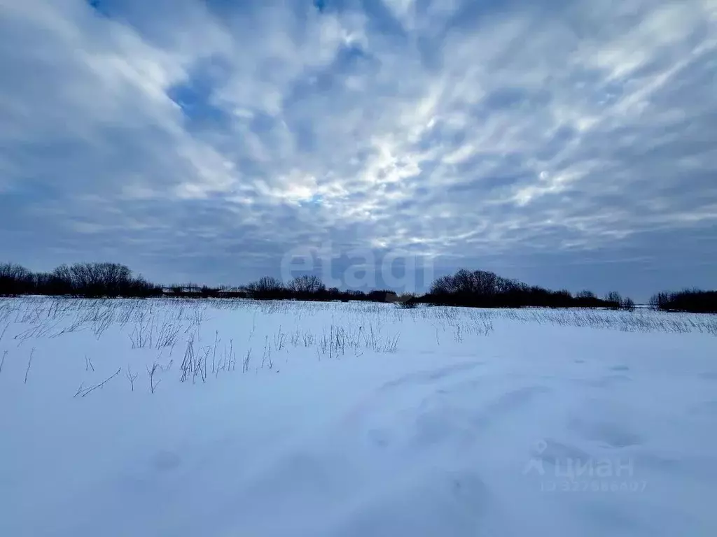 Участок в Архангельская область, Архангельск Зеленец мкр,  (15.37 ... - Фото 2