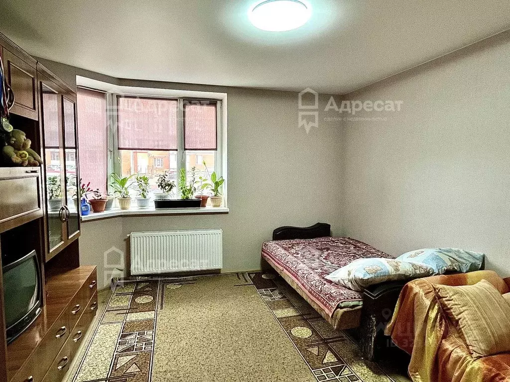 3-к кв. Волгоградская область, Волгоград ул. Имени Старшего Лейтенанта ... - Фото 1